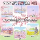 ㈜베스트렌트카 | 2026 전국 벚꽃 여행지 명소 총정리 | 개화시기·축제·꿀팁 완벽 가이드