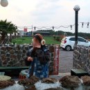 헤드홈탐라 이미지