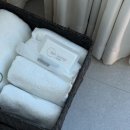 스테이디 | 고성 감성숙소 추천, 독채팬션 스테이디에서 보낸 완벽한 하루