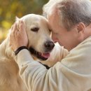 능곡동물병원 이미지