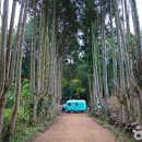 화북일동 공영주차장 이미지