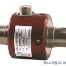 카스토크 이미지