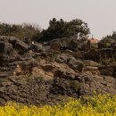 윈도우라운지 이미지