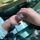 아쿠아펫 카페수족관 | 아기랑 갈만한 곳 일산 수족관 카페 아쿠아 가든 주말 방문 후기