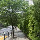 GS25 상봉주한 | [스위스 교환학생 #4] 주한 스위스 대사관 교환학생 비자 D visa 인터뷰 후기 ( •̀ ω •́ )✧