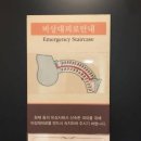 바이비상 이미지