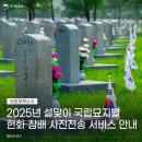 묘지 이미지