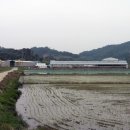 이하복농가 이미지