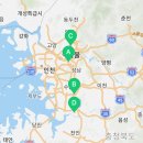 도그마루 강아지고양이 서초강남점 이미지