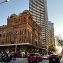 요미브런치 이미지