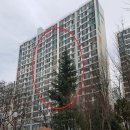 대곡사계절 이미지