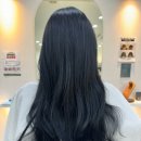 블루블랙 Daum카페