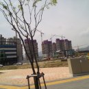 죽동지구 이미지