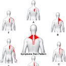 바른재활의학과병원 이미지
