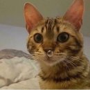 연미한의원 | 이게 얼마만에 쓰는 블로그지