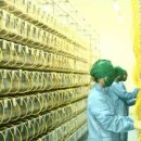 ㈜오리엔트바이오 이미지