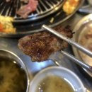 원조부산갈매기