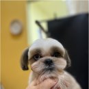 완산-132 이미지