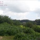 인천광역시 강화군 삼산면사무소 이미지