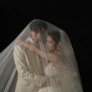 홍종현 카카오 검색결과