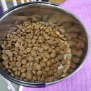 알피프리 이미지