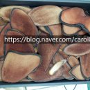 경희수진한의원 이미지