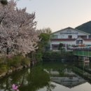 강릉해변막국수 - 평택시 만세로 1731 | 강릉해변막국수