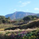 은서네민박 이미지