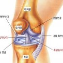 해솔한방병원 이미지