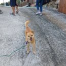 상족바다펜션 이미지