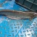 강골농장 이미지