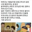 검정고무신 이미지