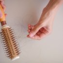 바람따라 이미지