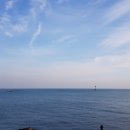 한국폴리텍 I 대학 제주캠퍼스 이미지