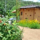 들꽃마을 펜션 이미지