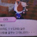 12 | 로테이션 소개팅 내돈내산 솔직후기 | 12대 12 후기 | 꿀팁 공유