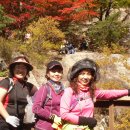 십이선여탕 이미지