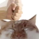 하월의하루