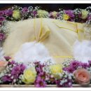 복실이 PC 이미지