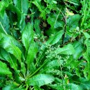 소율농장 이미지