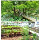 동해IC 이미지
