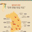 전국밀면 이미지