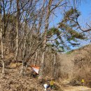 청풍농장 이미지