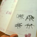 원주자연 이미지