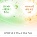 사비농장 | 제주도 알로에 김정문알로에 MBC 오늘N방송 신제품 추천 알로에사비