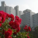 양지저수지 이미지