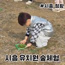 소나무유치원 | 시흥 유치원 숲체험 4월 로제트 숲놀이