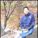 비몽사몽 이미지