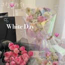상계동꽃집 그릿플라워 가격 위치 영업시간