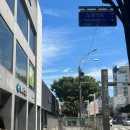 [노량진수산시장 활어-116 거제수산] 가성비 전어모듬회 + 초장집 충남식당 솔직후기